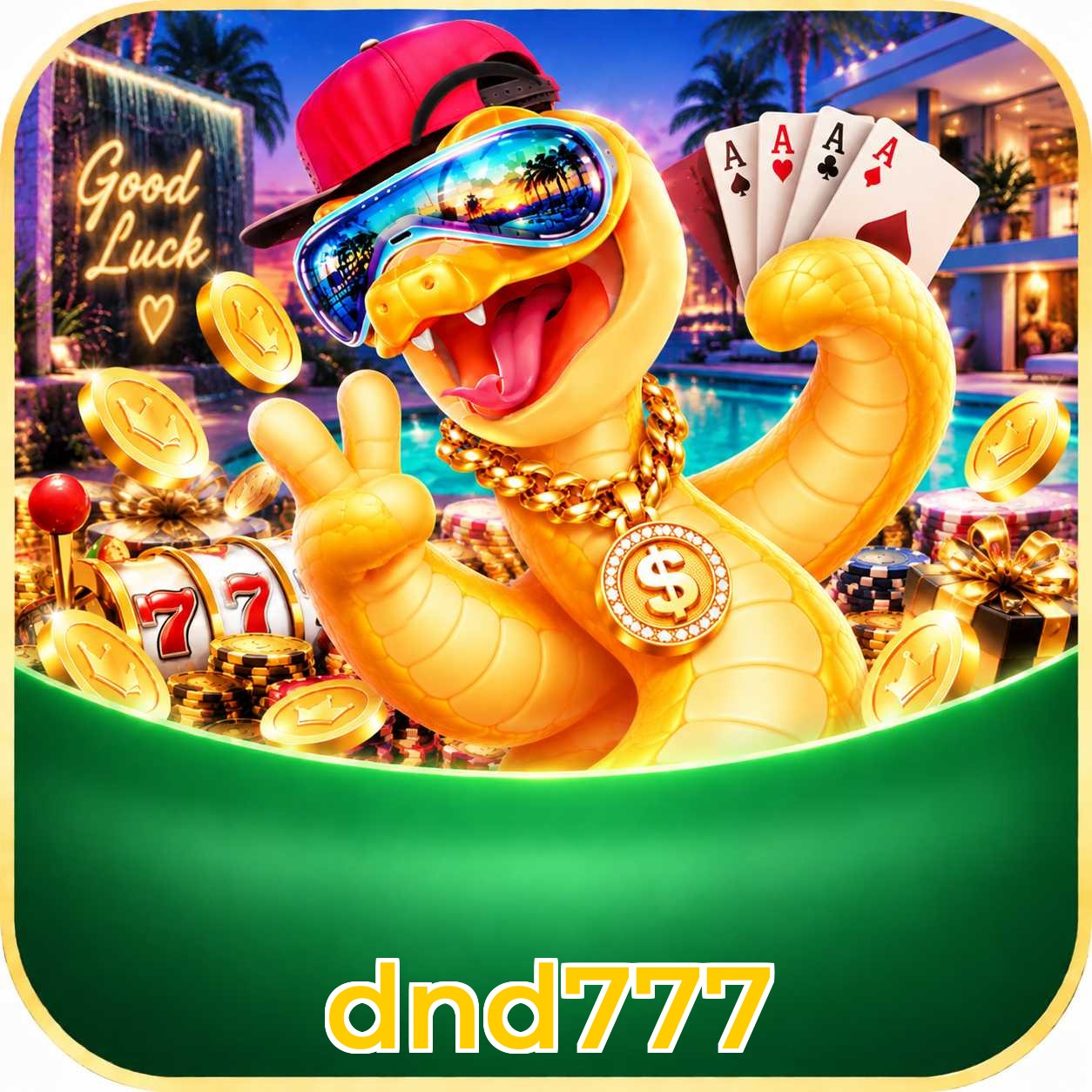 dnd777 App vs Web